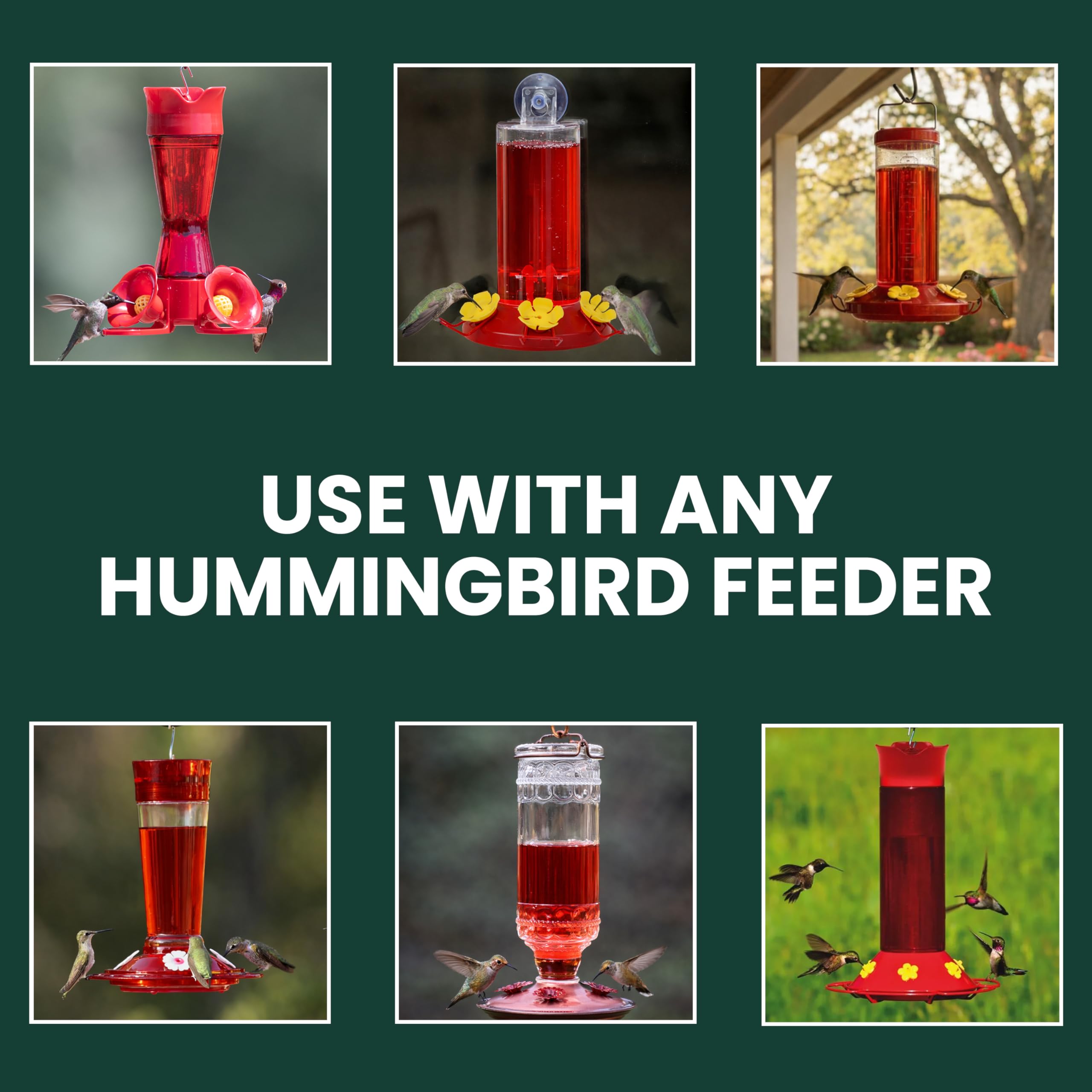 Perky-Pet hummingbird feeder setup with nectar, ideal for backyard visits.