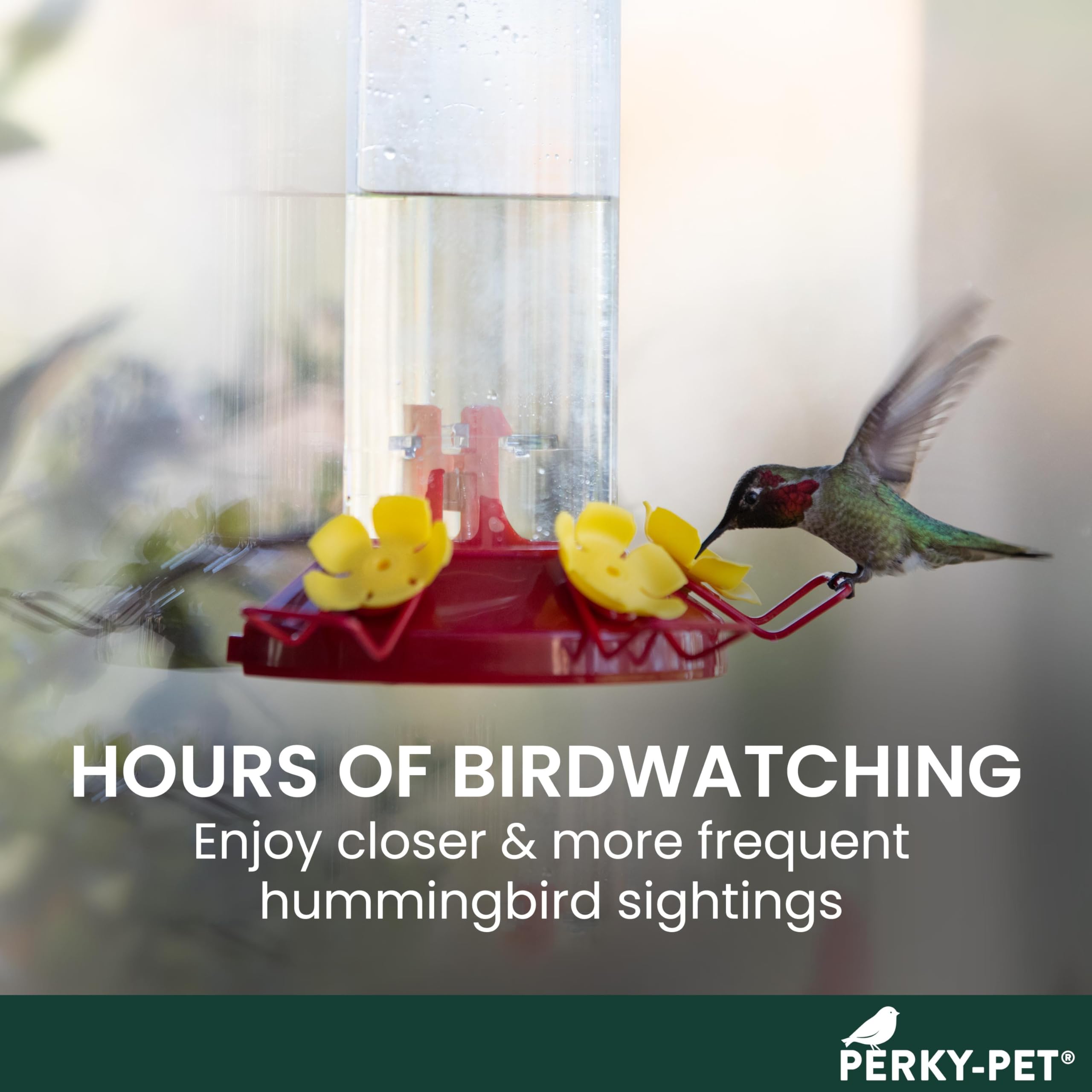 Perky-Pet hummingbird feeder with three hollyhock ports invites natural feeding
