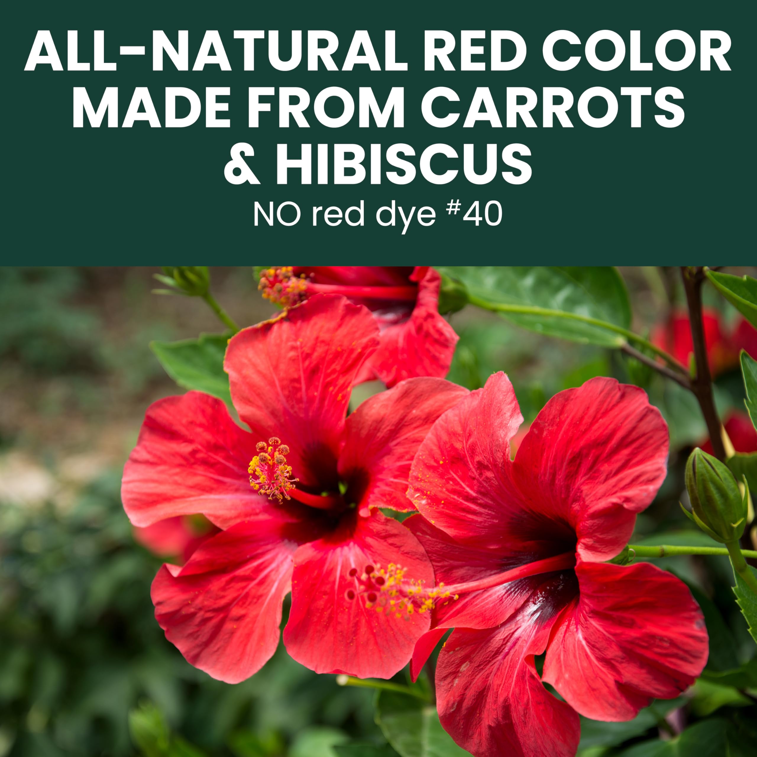 Perky-Pet nectar attracts visiting hummingbirds to your garden.