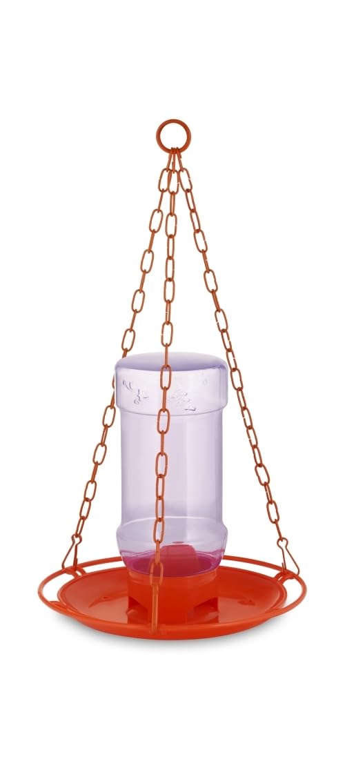 Perky-Pet jelly feeder oriole 32oz hanging-mount enables garden placement.