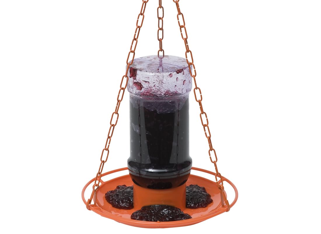 Perky-Pet jelly feeder oriole 32oz top view shows secure lid protecting jelly.