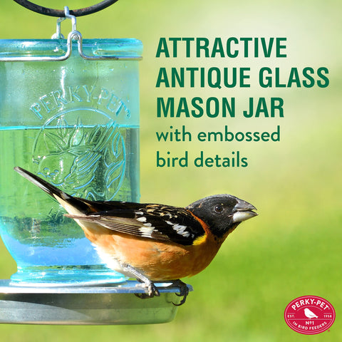 Blue antique bottle on a Perky-Pet waterer base for rustic appeal.
