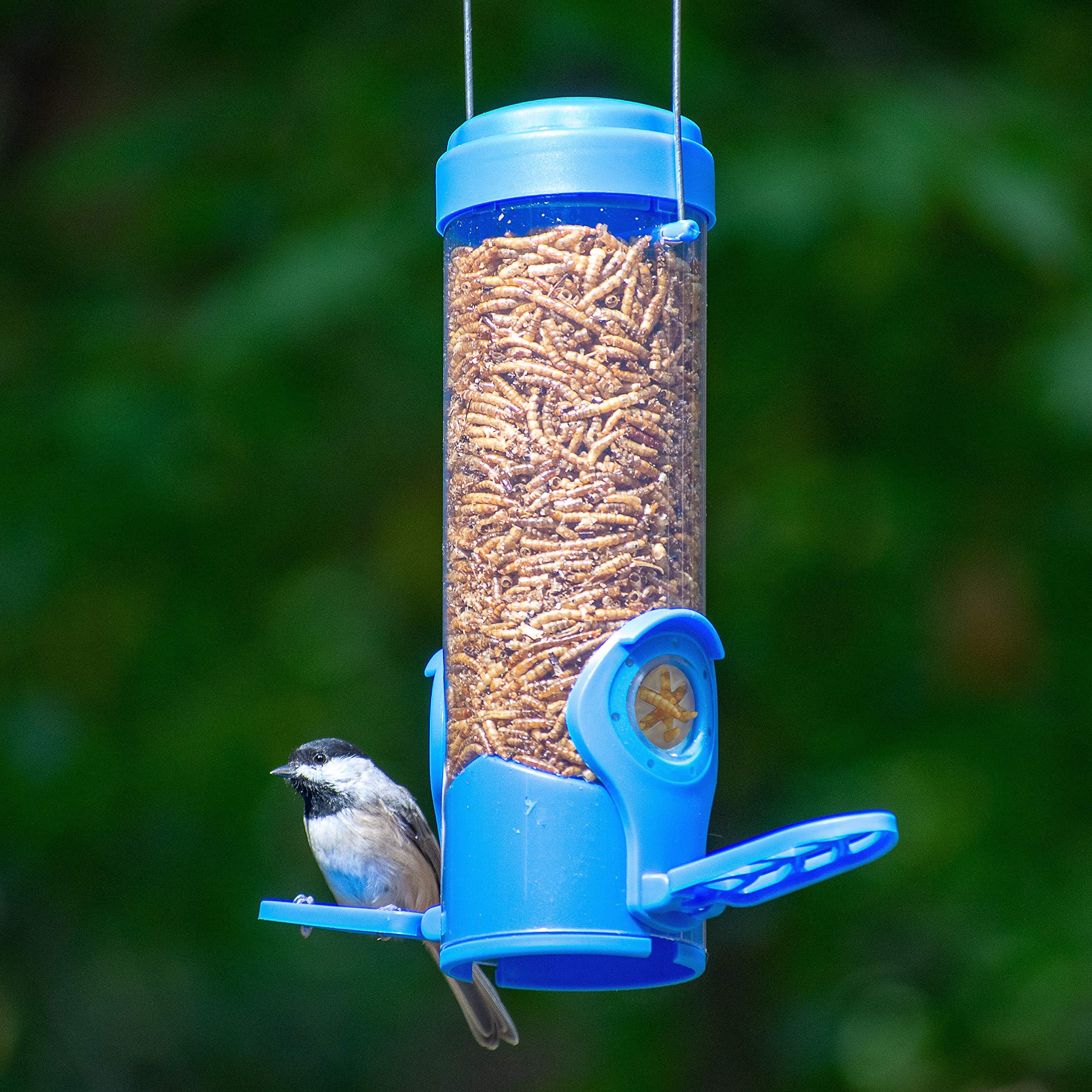 Perky-Pet feeder with removable lid for easy filling and quick cleaning
