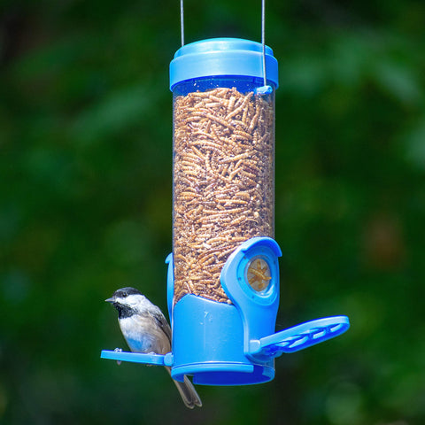 Perky-Pet feeder with removable lid for easy filling and quick cleaning