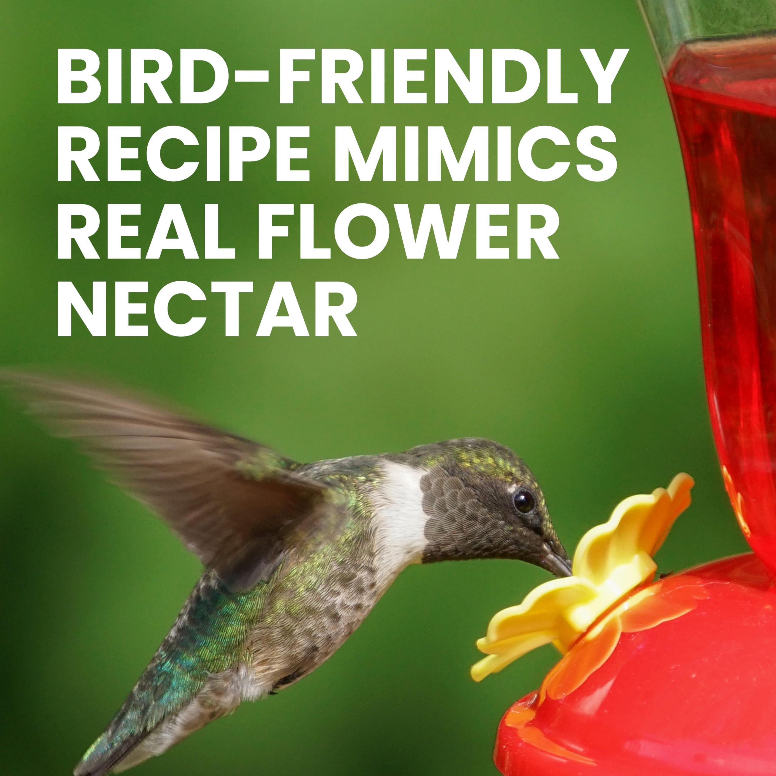 Perky-Pet original red nectar concentrate close-up showing vivid color to attract hummingbirds.