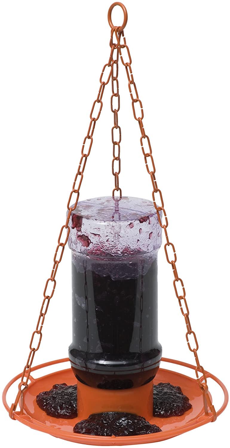 Perky-Pet Oriole 32 oz jelly feeder with 1-port design attracts orioles in the backyard