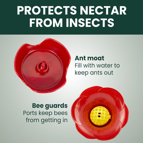 Fully-disassemblable design allows thorough cleaning of bottle, base, and guards.
