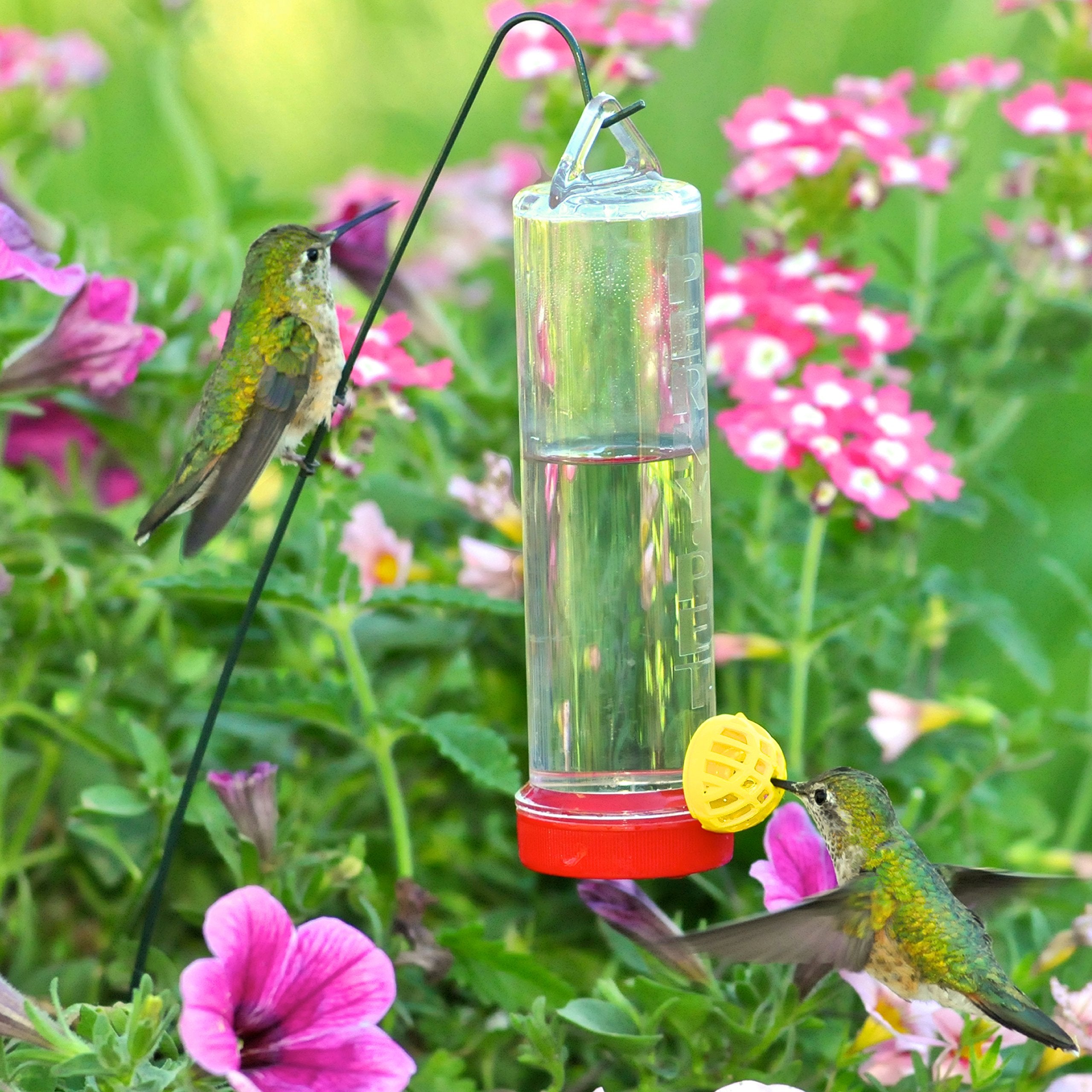 Perky-Pet Planter Box feeder with clear plastic shows nectar level.