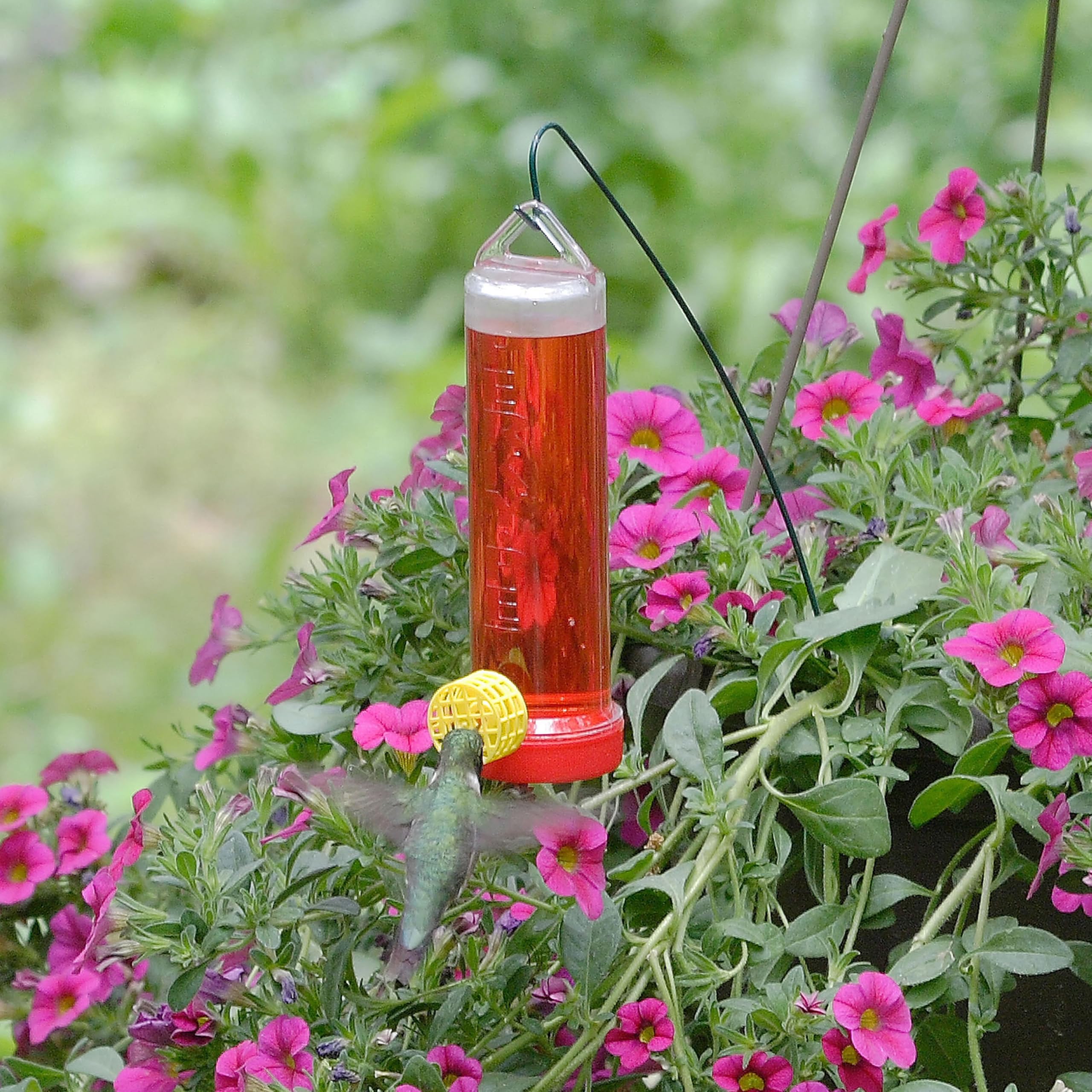 Perky-Pet feeder hanging rod over baskets for easy nectar access.