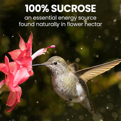 Perky-Pet red nectar color shown, designed to attract hummingbirds to your feeder.