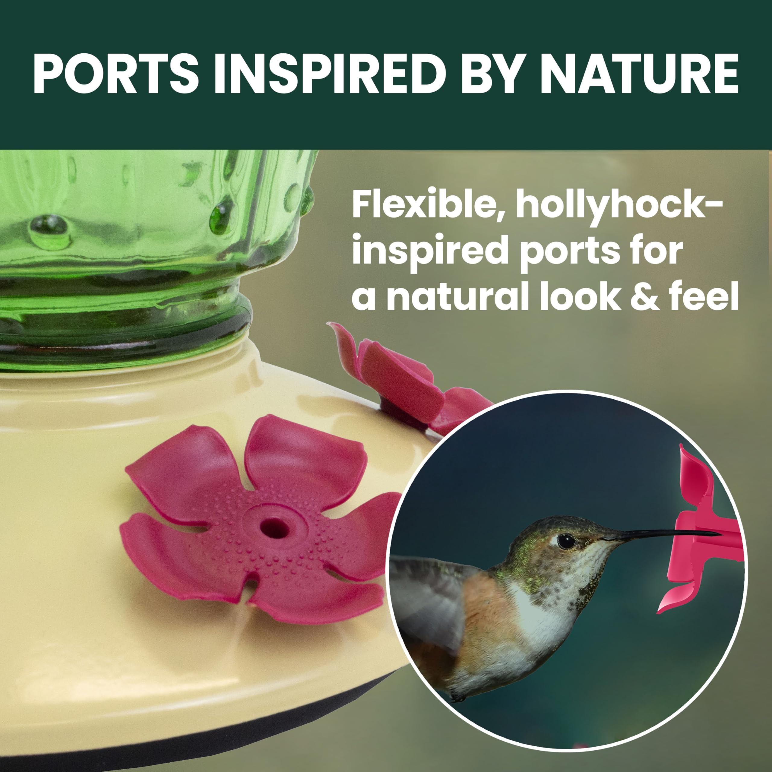 Perky-Pet Removable Perches offer rest stops during feeding