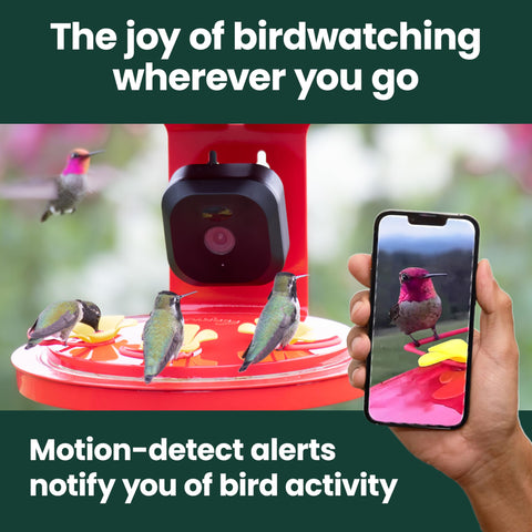 Perky-Pet Smart Bird Feeder camera top view highlights sleek housing