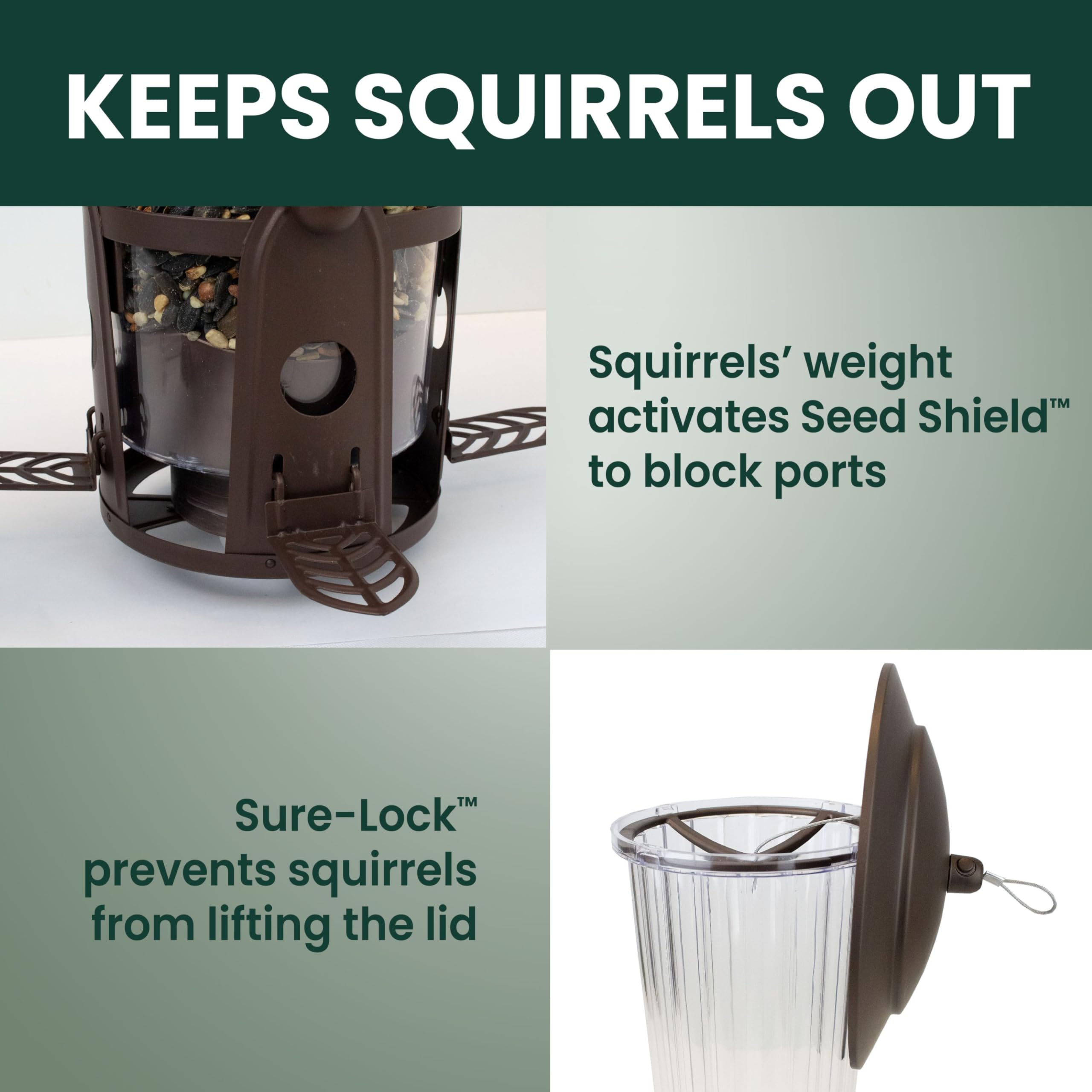 Perky-Pet Squirrel-Be-Gone Max metal frame resists chewing