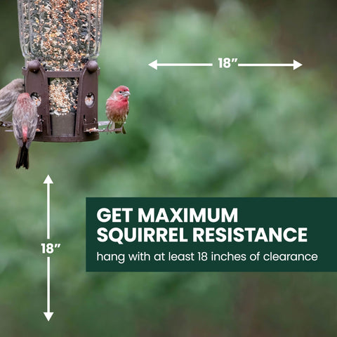Perky-Pet Squirrel-Be-Gone Max designed for outdoor hanging