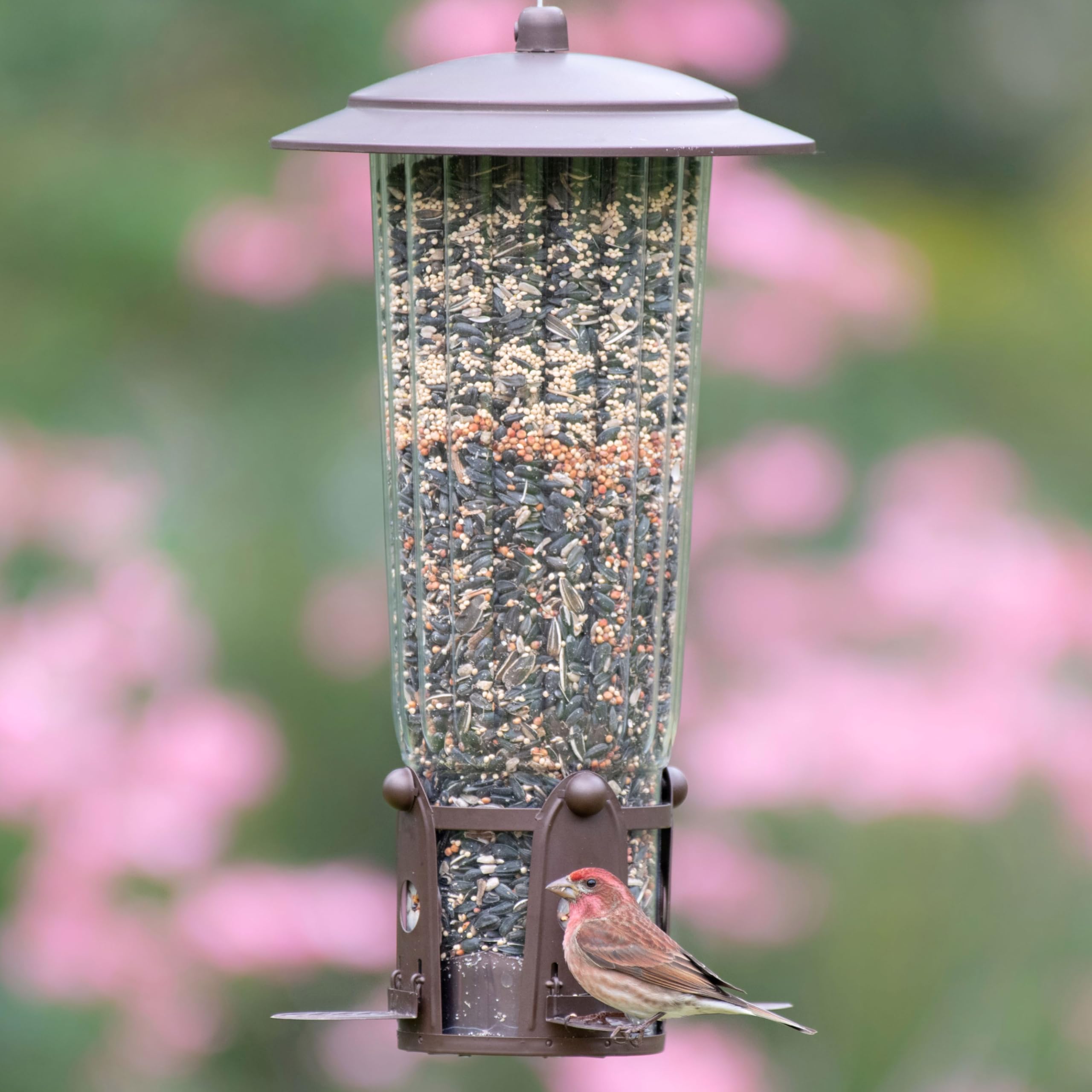 Perky-Pet Squirrel-Be-Gone Max keeps seed contained, reducing mess