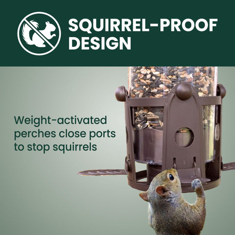 Perky-Pet Squirrel-Be-Gone Max with weight-activated perches deters squirrels