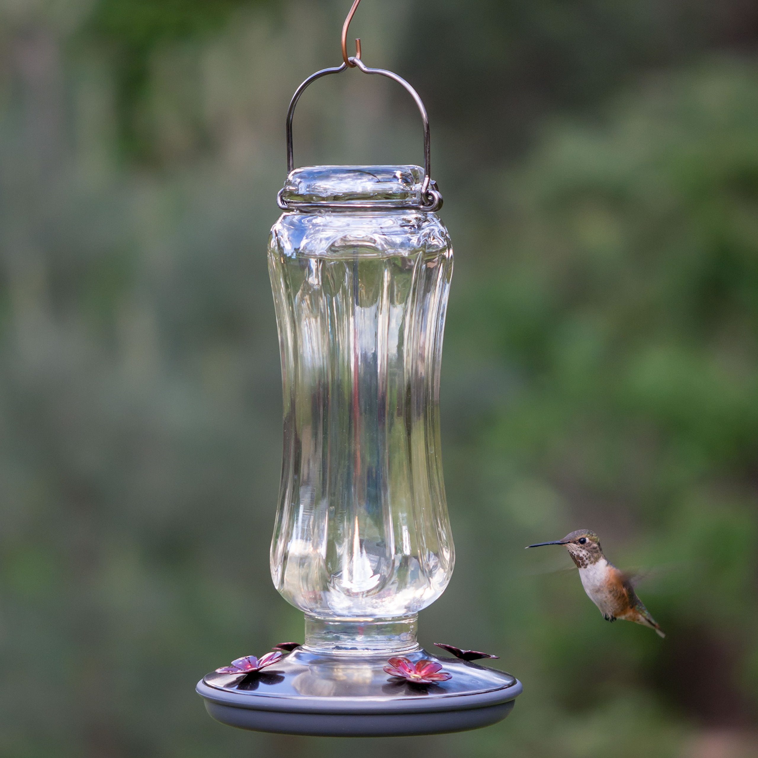 Perky-Pet Starglow brushed-nickel lid complements yard aesthetic and easy nectar access.