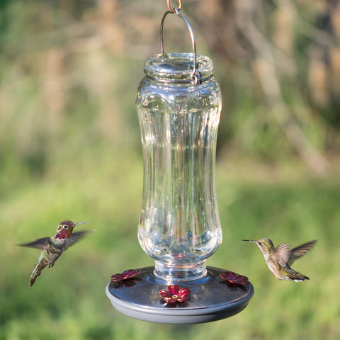 Outdoor-friendly Starglow feeder design makes maintenance simple during garden visits.