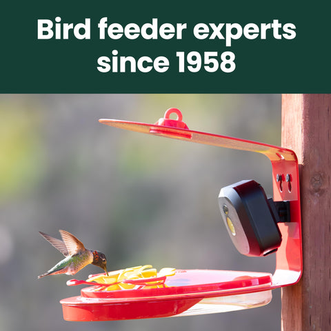 Perky-Pet three-color flower ports invite hummingbirds with variety