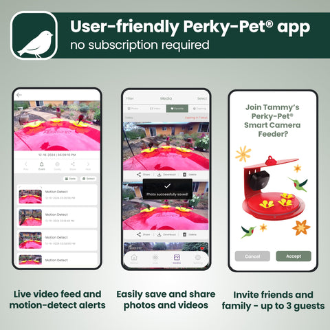 Perky-Pet Wi-Fi app provides live view and media access