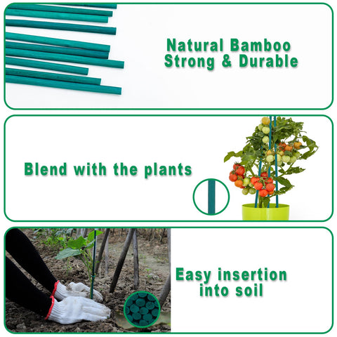 PERSZEN bamboo-stakes-durability natural bamboo built for long-lasting garden use.