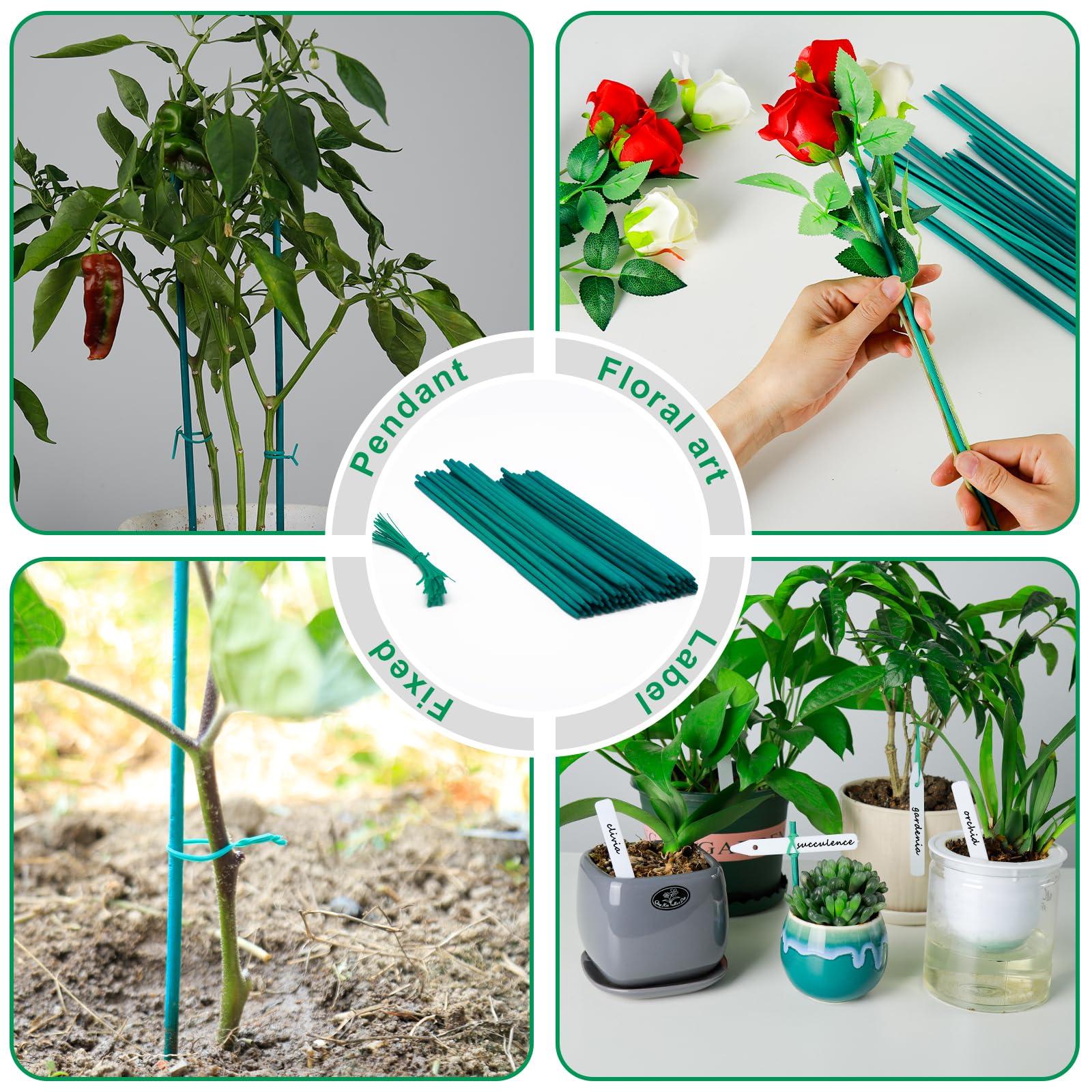 PERSZEN garden-use-indoor-outdoor ideal for indoor pots and outdoor borders.