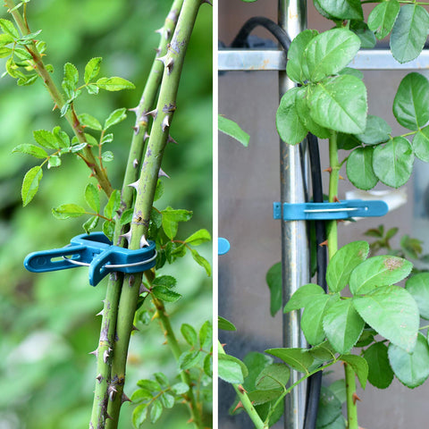 PERSZEN plant clips on trellis for climbing plants setup
