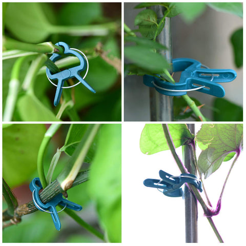 PERSZEN plant clips used in garden to support vines