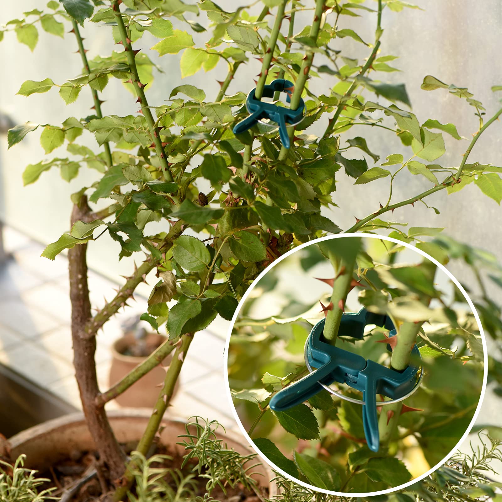 PERSZEN clips endure windy days, keeping stems steady and organized