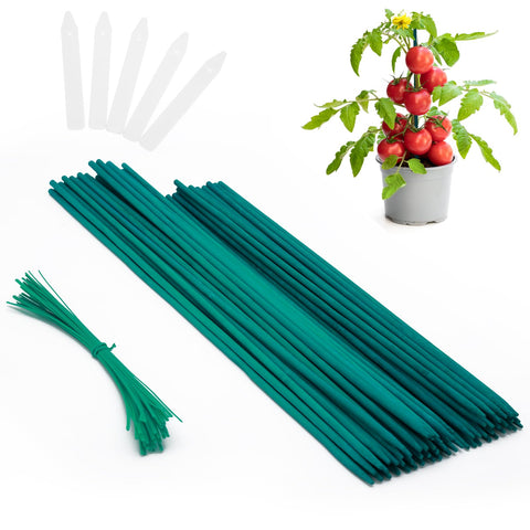 PERSZEN plant stakes 15-inch green, sturdy bamboo supports for indoor plants.