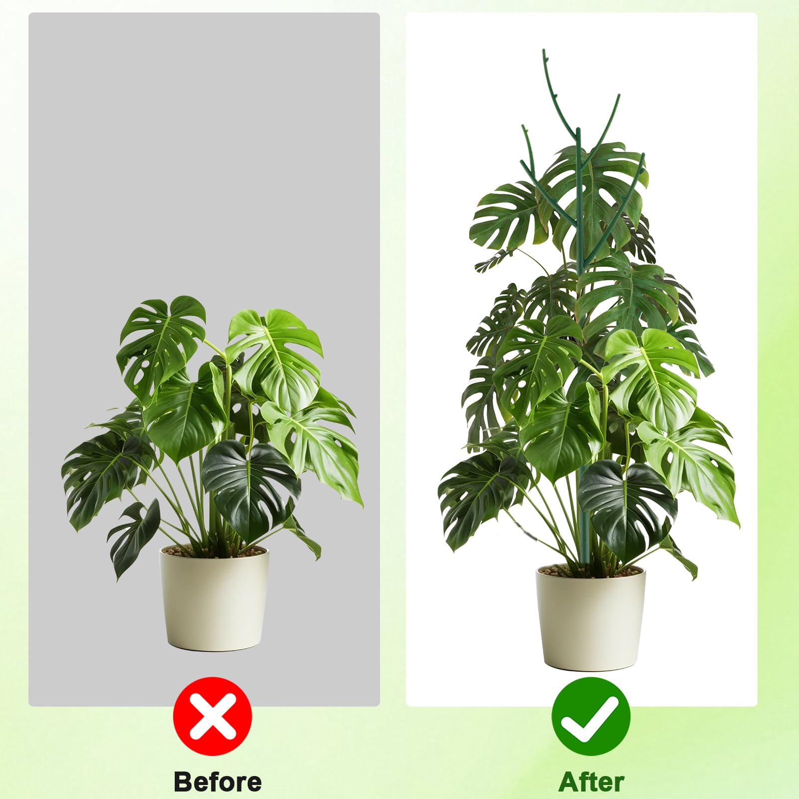 PERSZEN pot trellis stabilizes stems for roses and sunflowers