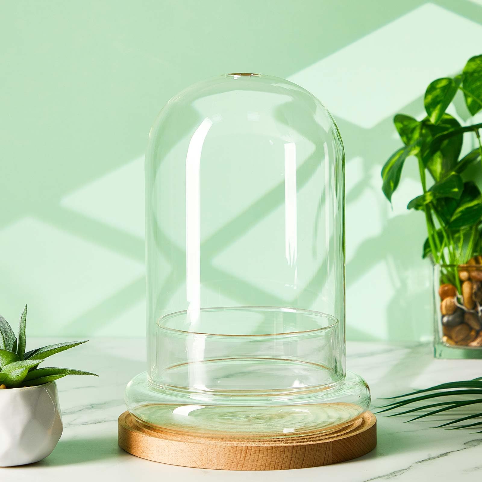 Perthlin airhole dome top keeps humidity balanced for small plants.