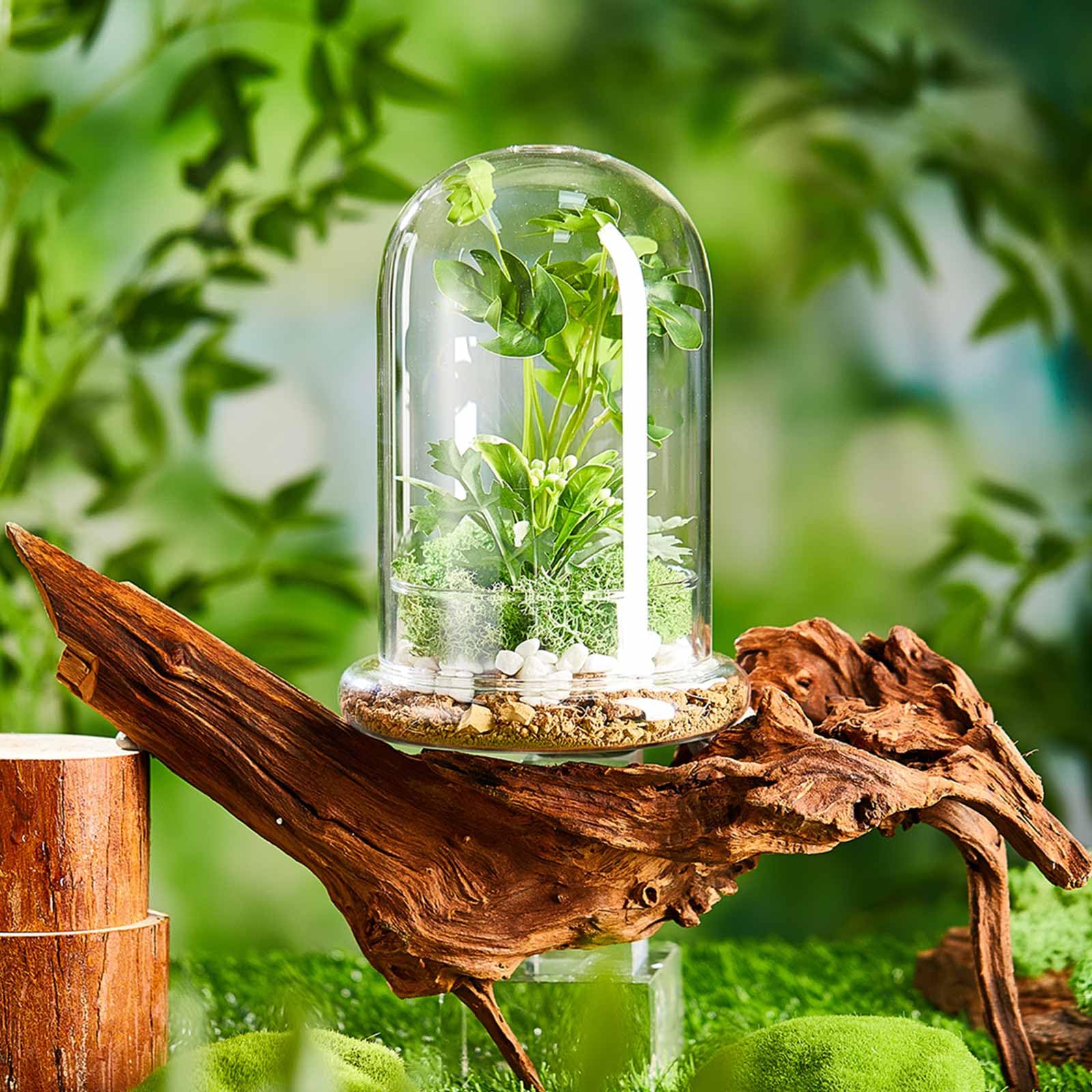 Perthlin decorative terrarium suits figurines, shells, or jewelry displays.