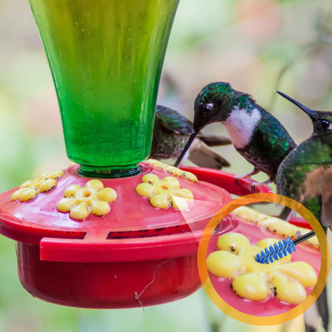 Perthlin hummingbird feeder cleaning brush kit features 19 pieces for flexible maintenance.