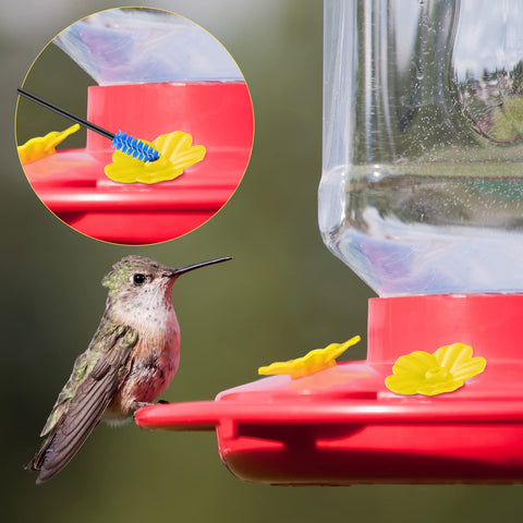Perthlin hummingbird feeder replacement flowers blue brighten outdoor feeding