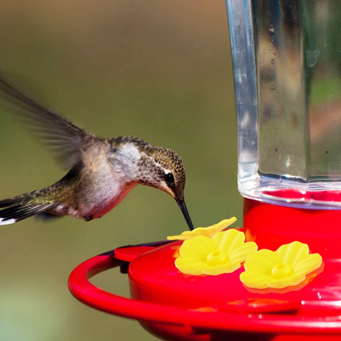 Perthlin hummingbird feeder replacement flowers green blend with garden decor