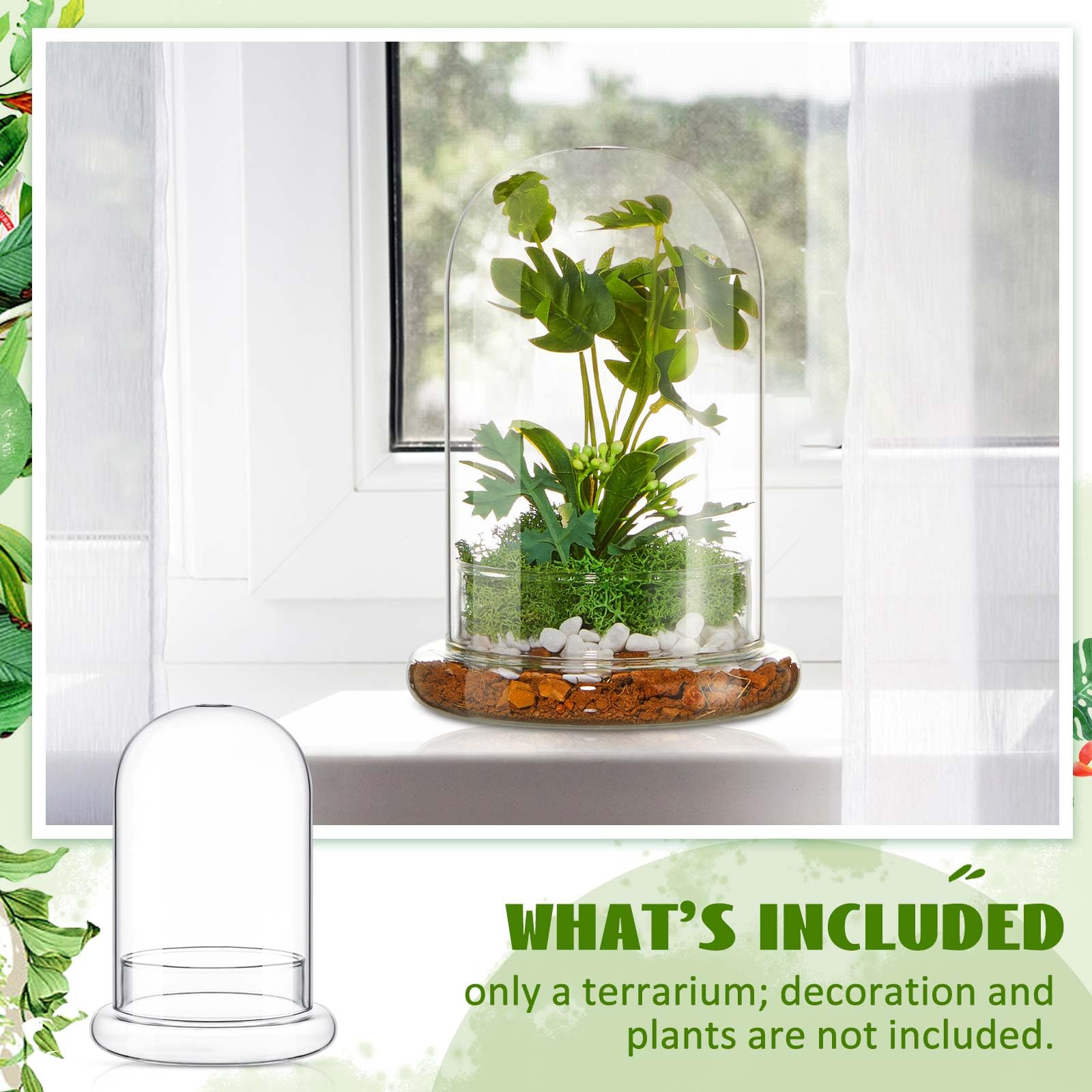 Perthlin terrarium on tabletop enhances modern home or office spaces.