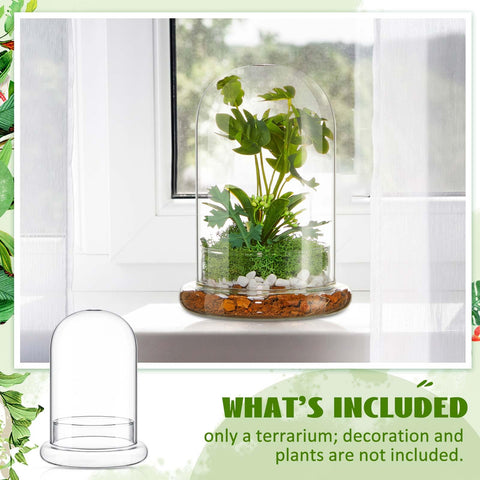 Perthlin terrarium on tabletop enhances modern home or office spaces.