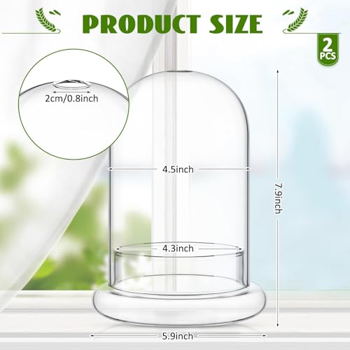 Perthlin terrarium base plate provides stable, stylish support on tables.