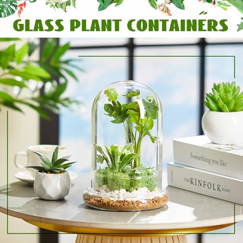 Perthlin two-pack terrarium set doubles decor and gifting options.