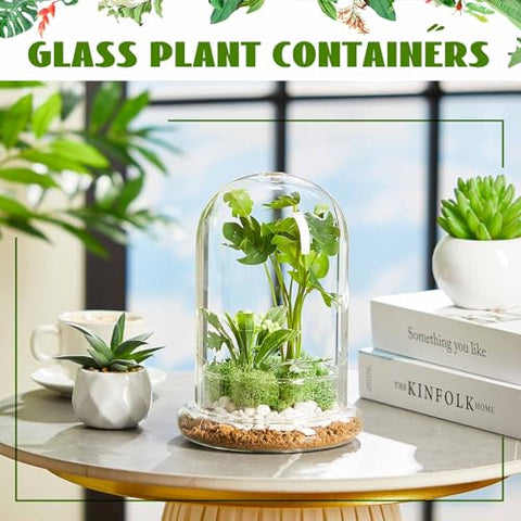 Perthlin two-pack terrarium set doubles decor and gifting options.
