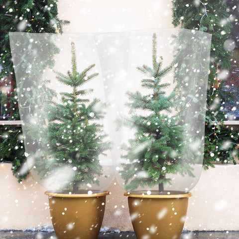 Perthlin frost protection cover wrapped around a small tree illustrating insulation.