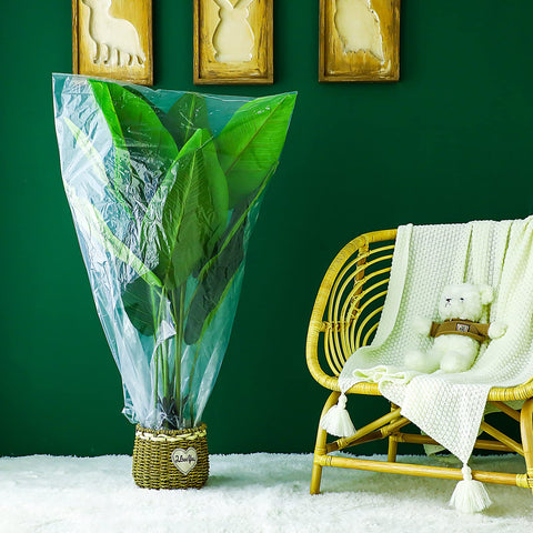 Perthlin wind-sheltering film covers on seedlings demonstrate sturdy, weather-ready material.