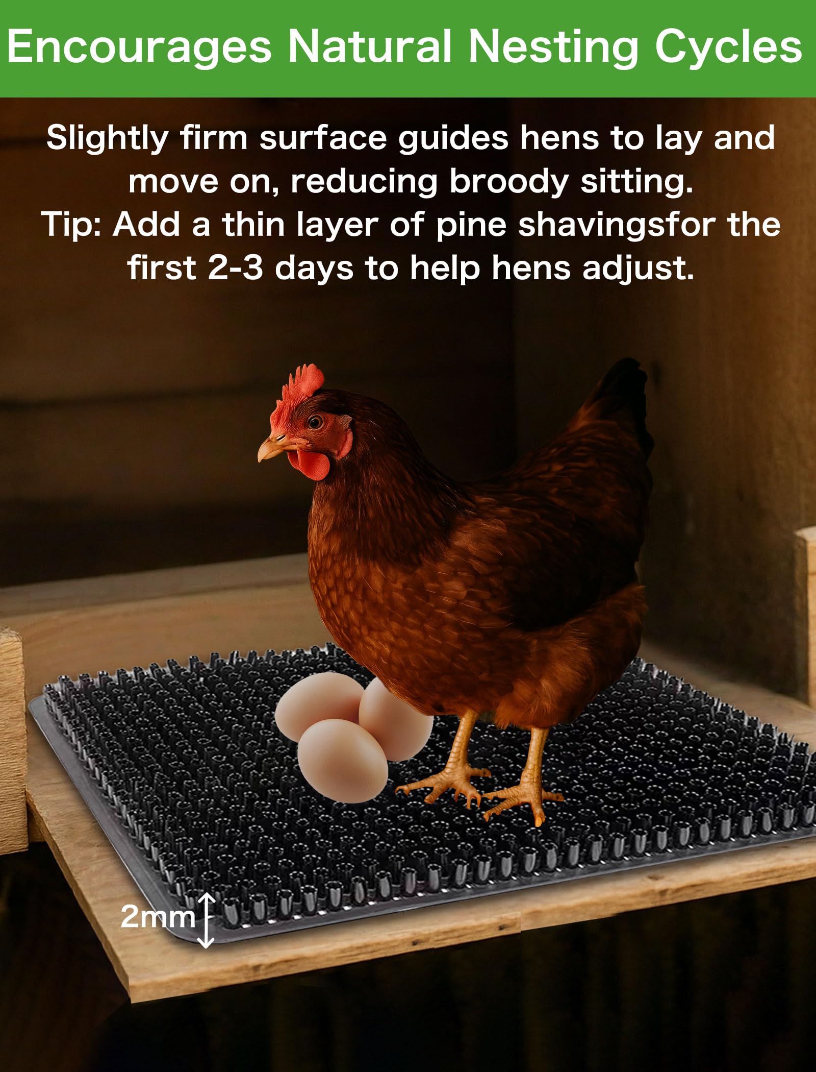 PERZUMI nest liners use virgin PE for durable, safe bedding