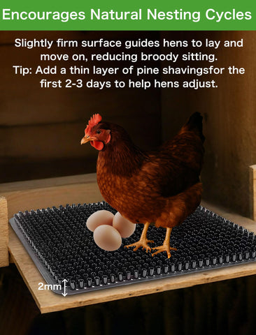 PERZUMI nest liners use virgin PE for durable, safe bedding