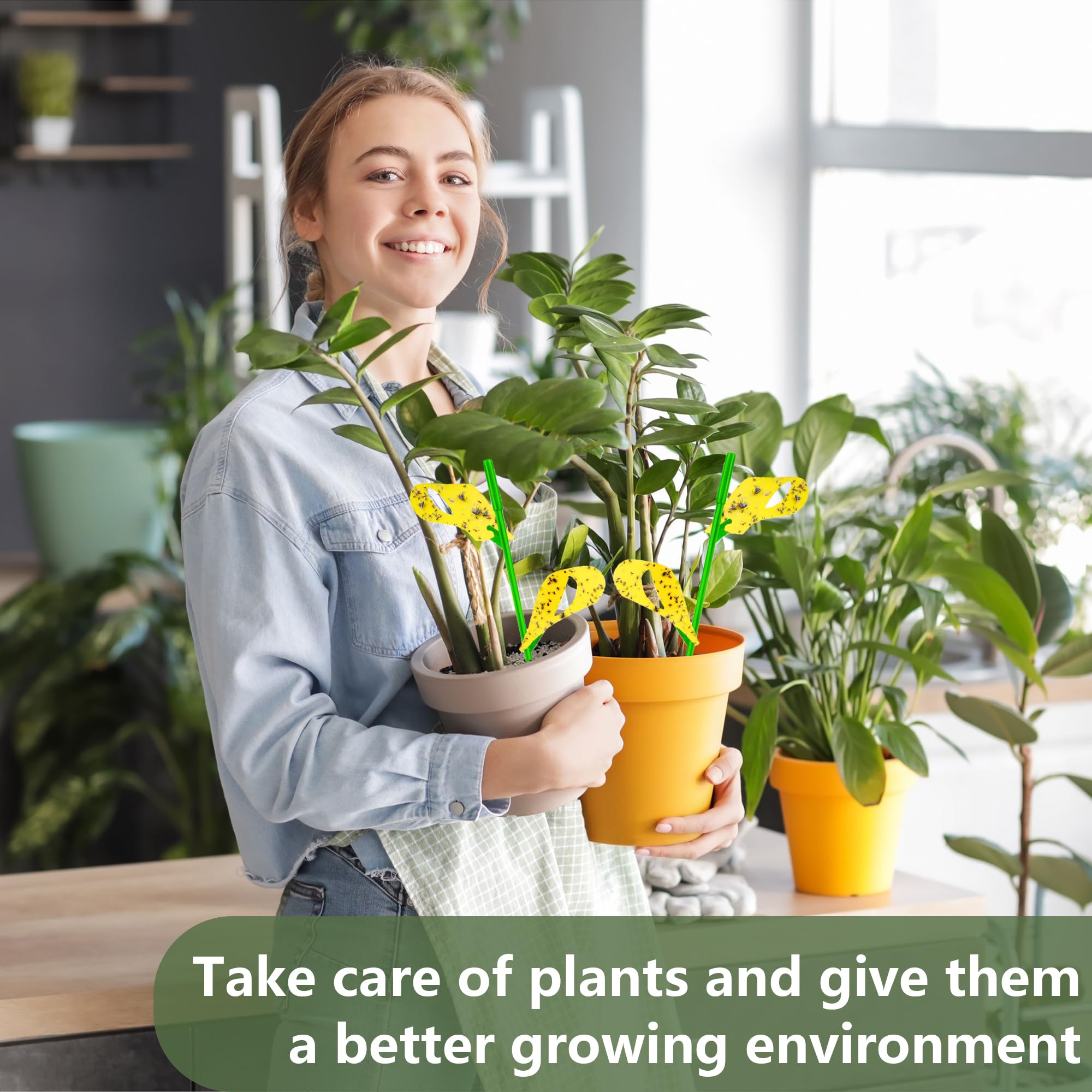 PestCon traps work indoors and outdoors for versatile plant protection