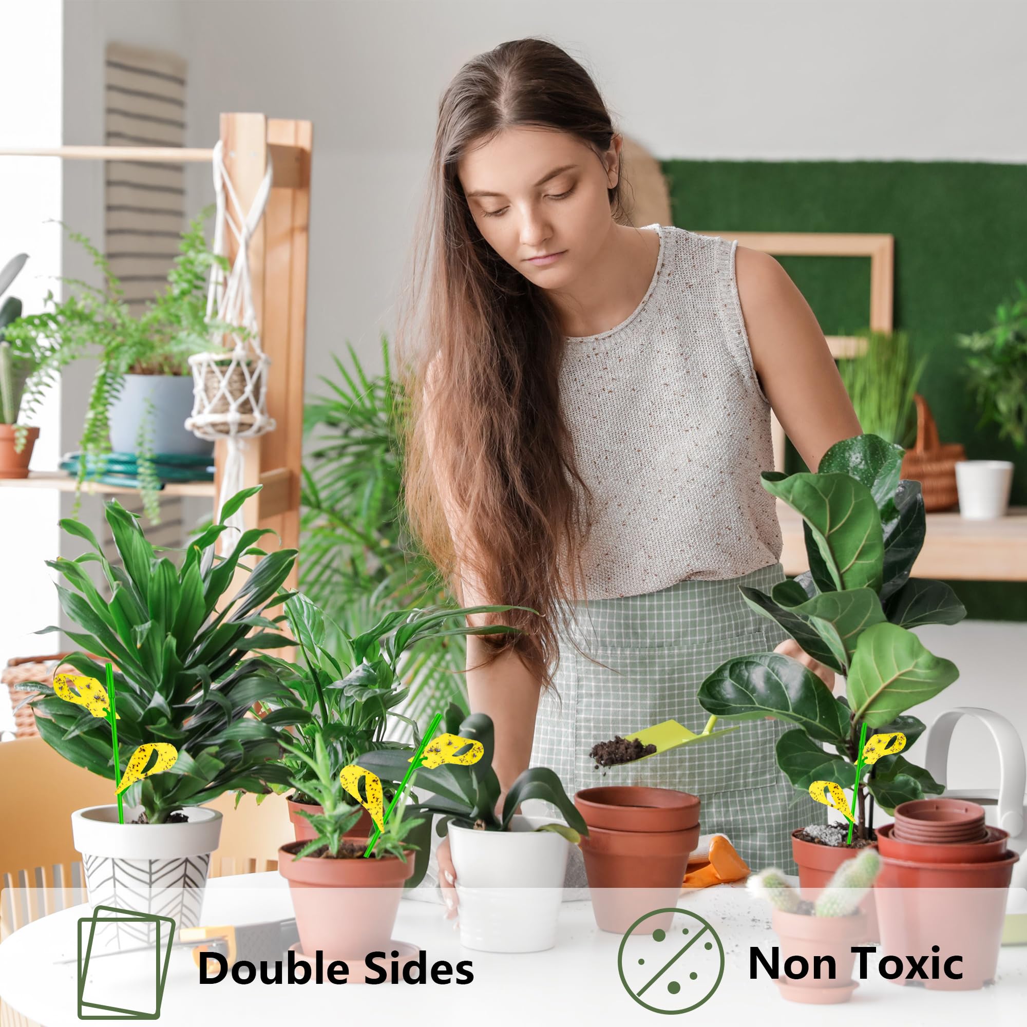 PestCon odorless chemical-free traps protect plants without fumes