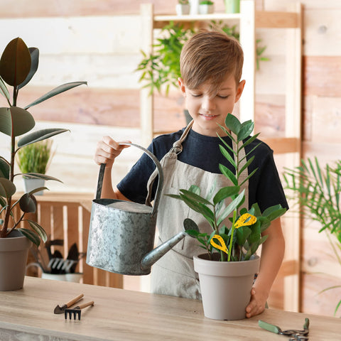 PestCon traps suited for organic farms and home gardening
