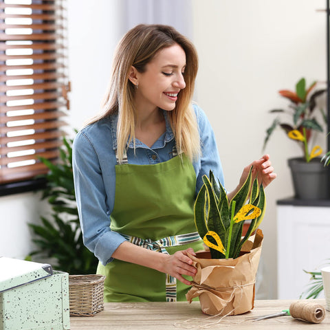 Pestcon outdoor-friendly traps resist rain and sun for weeks.