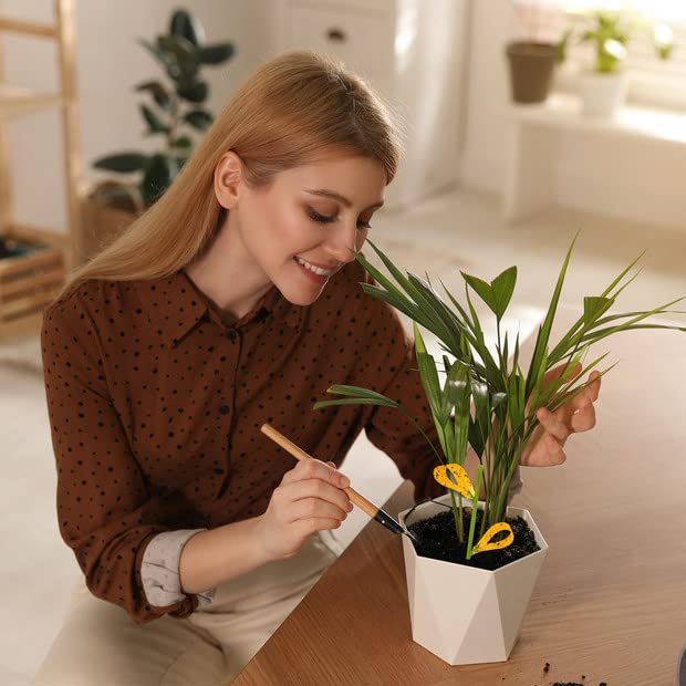 PESTCON urban kitchen garden use demonstrates versatile indoor pest control.